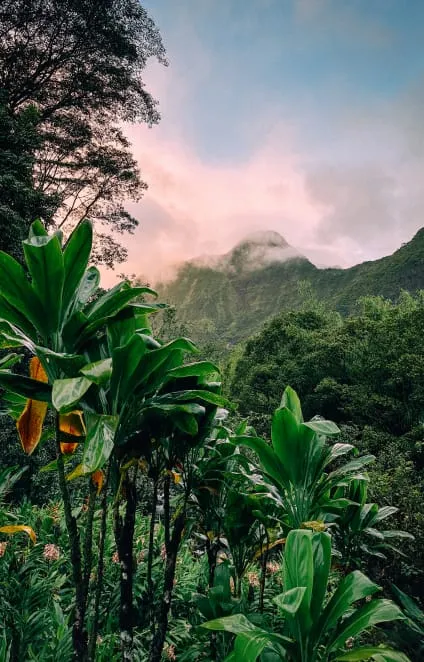 Landscape photo of a mountain in Hawaii